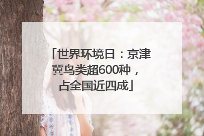世界环境日：京津冀鸟类超600种，占全国近四成